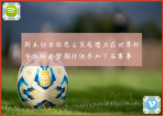 斯米切尔称恩古莫有潜力在世界杯中扭转局势期待他参加下届赛事